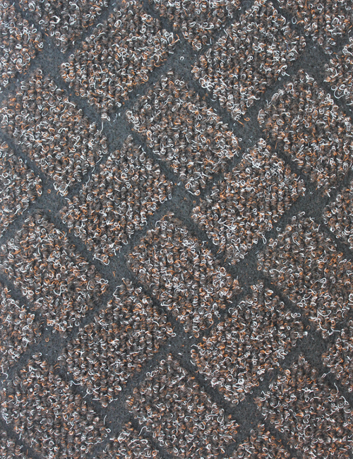 paspas - otomotiv halısı